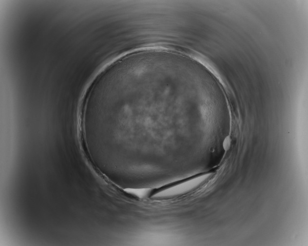 X0000088231101200705292129