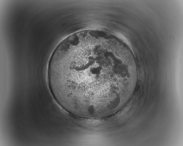 X0000088231103200705292129
