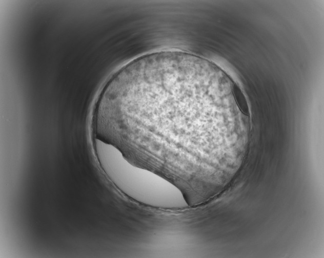 X0000088231104200705292129