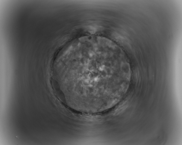 X0000088231105200705292128