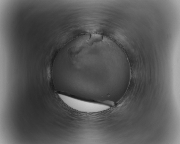 X0000088231106200705292128