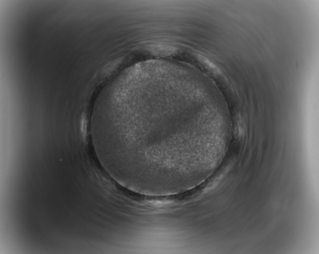 X0000088231108200705292128