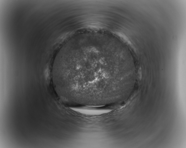 X0000088231110200705292128