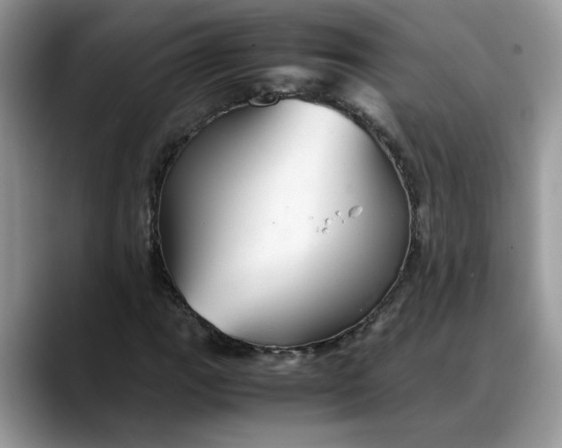 X0000088231111200705292128