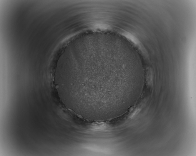 X0000088231112200705292128