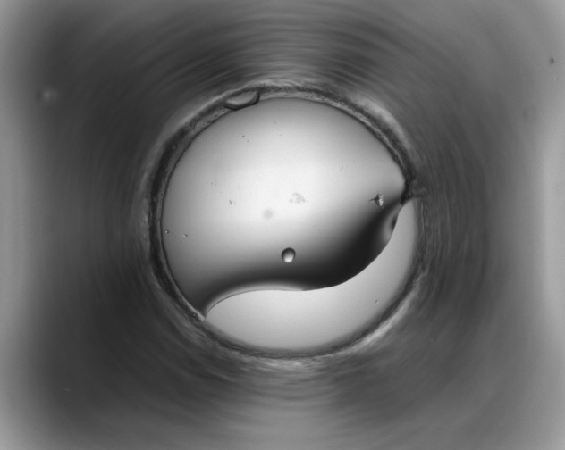 X0000088231114200705292128