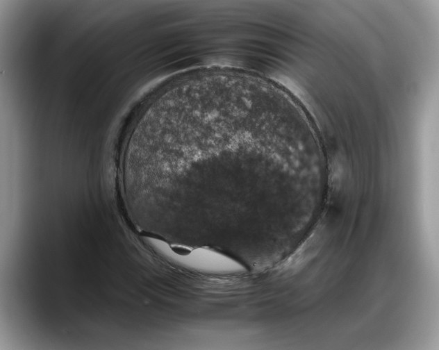 X0000088231115200705292128