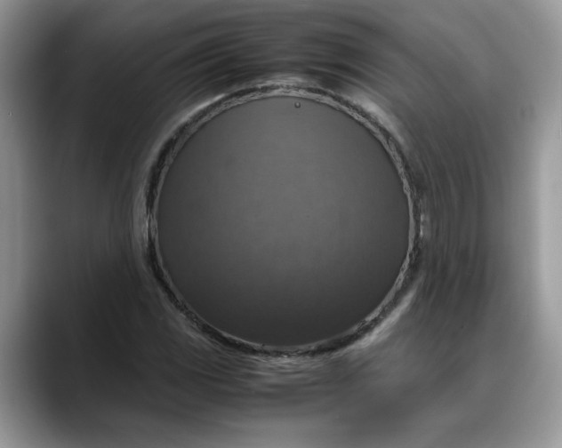 X0000088231117200705292128