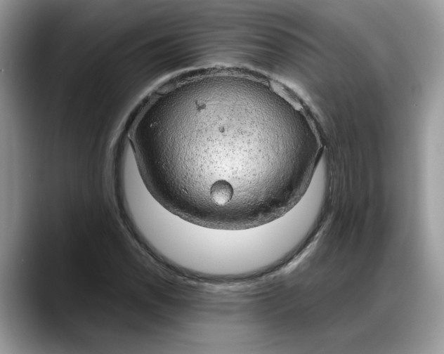 X0000088231118200705292128