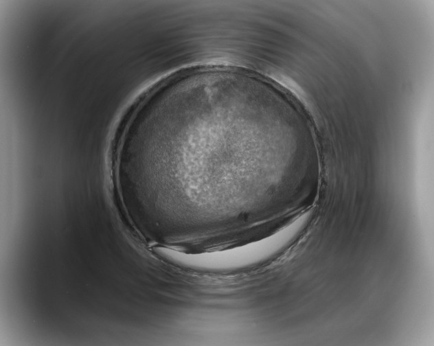 X0000088231120200705292128