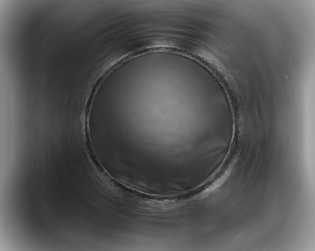 X0000088231121200705292128