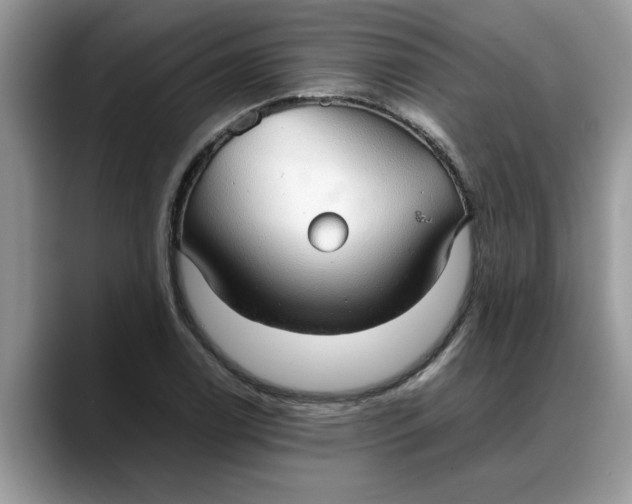 X0000088231122200705292128
