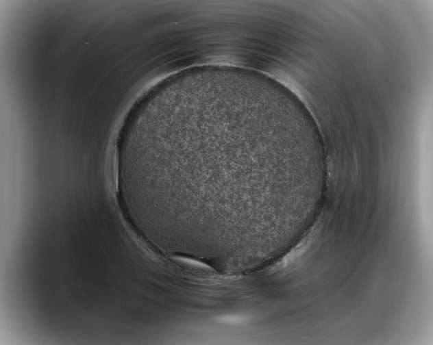 X0000088231123200705292128