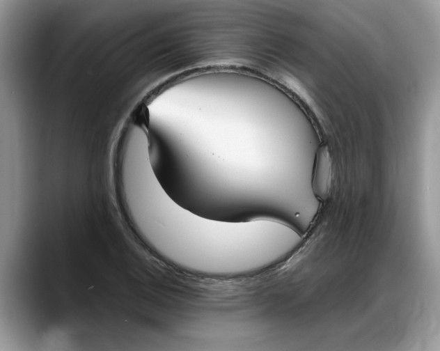 X0000088231124200705292128