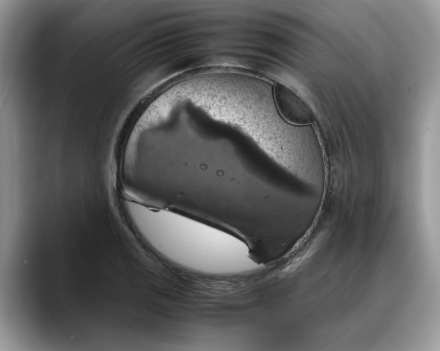 X0000088231125200705292128