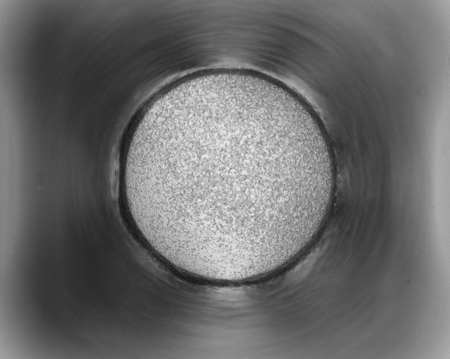 X0000088231126200705292128