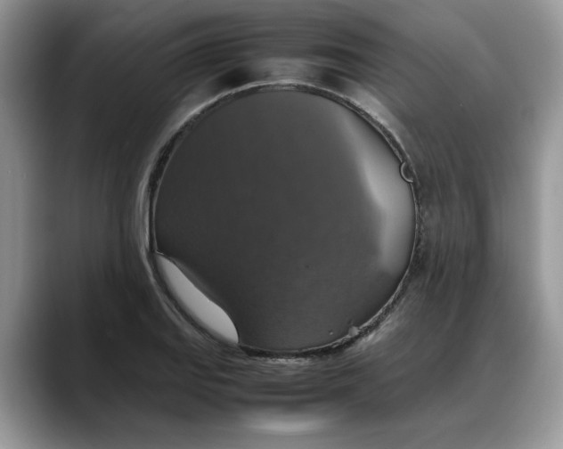 X0000088231127200705292128