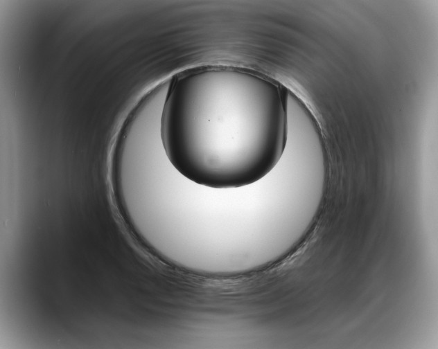 X0000088231128200705292128