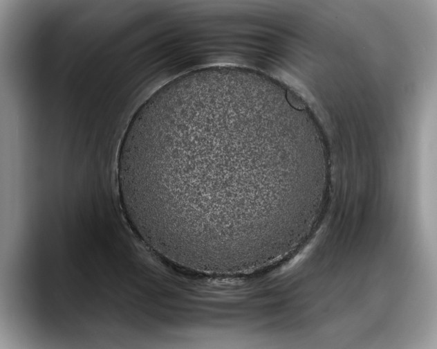 X0000088231129200705292128
