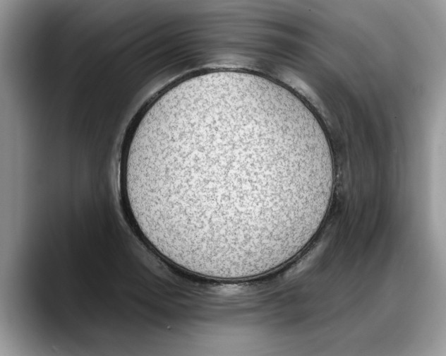 X0000088231130200705292128