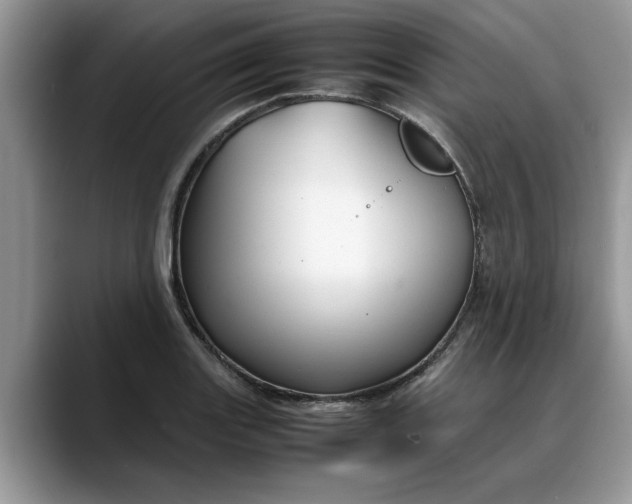 X0000088231131200705292128