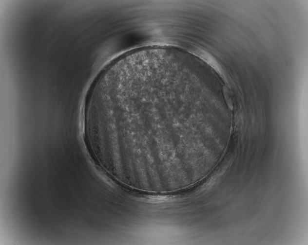 X0000088231132200705292128