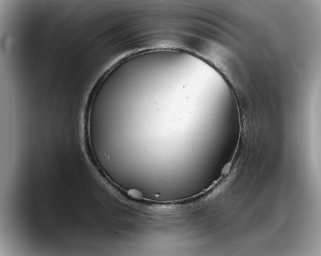 X0000088231134200705292128
