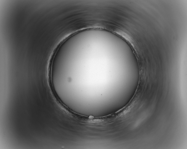 X0000088231135200705292128