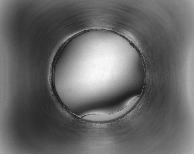 X0000088231136200705292128