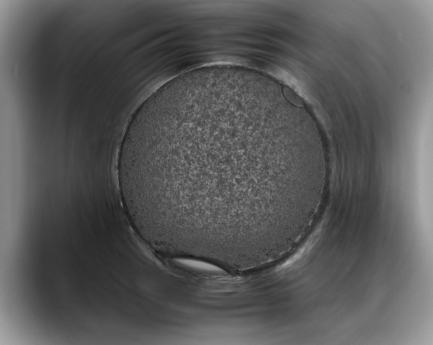 X0000088231137200705292128
