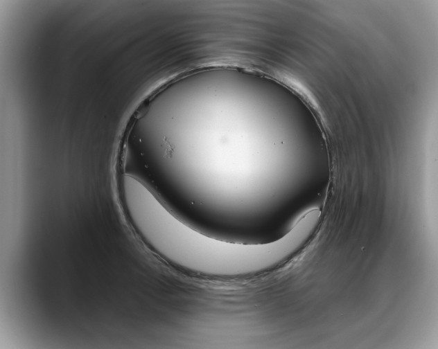 X0000088231138200705292128