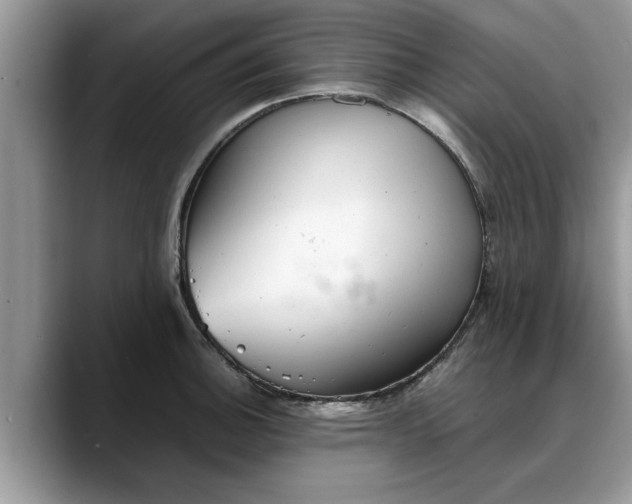 X0000088231140200705292129