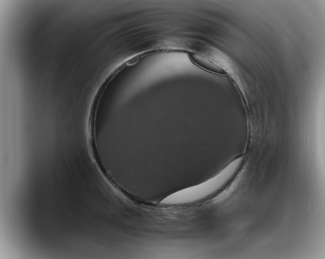 X0000088231141200705292129