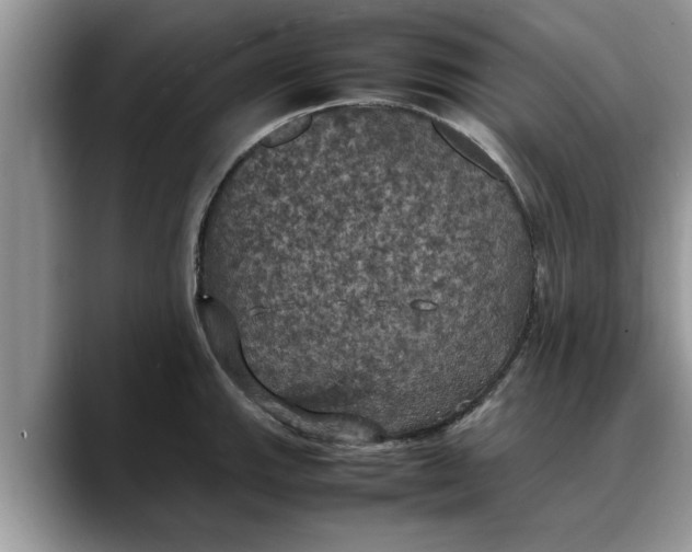 X0000088231143200705292129