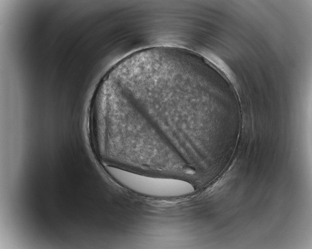X0000088231144200705292129