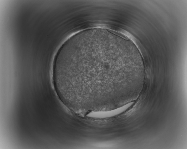 X0000088231147200705292129