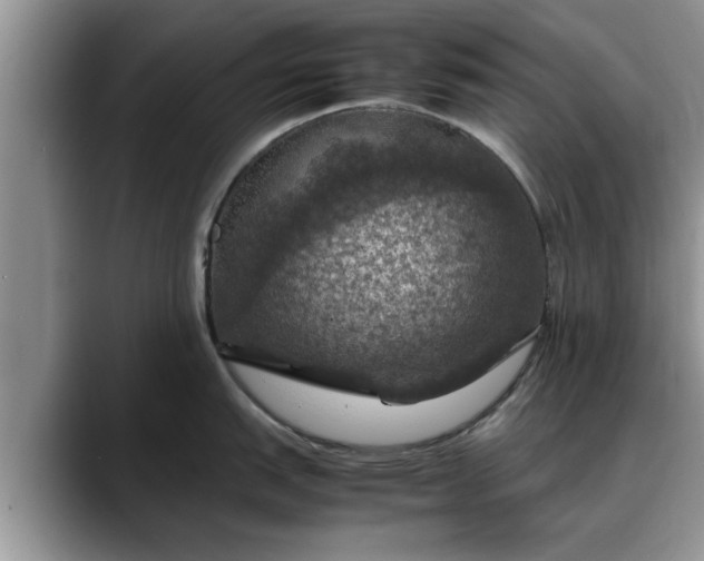 X0000088231151200705292129