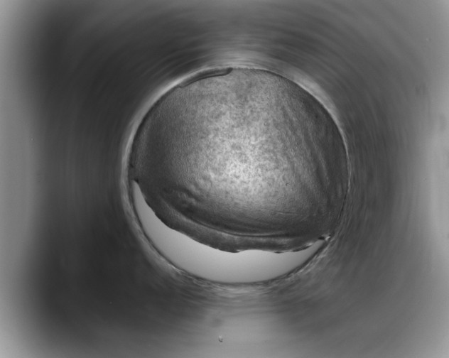 X0000088231152200705292129