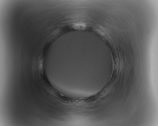 X0000088231154200705292128