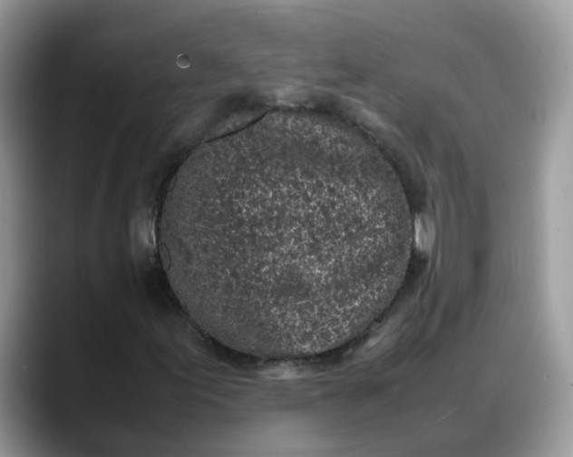 X0000088231155200705292128
