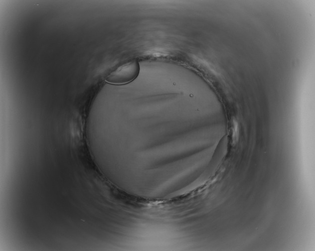 X0000088231158200705292128