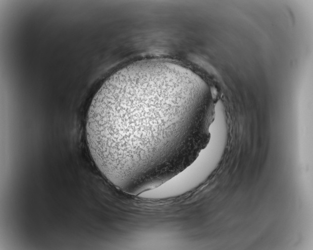 X0000088231160200705292128