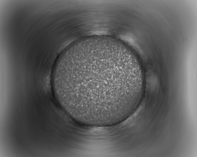 X0000088231162200705292128