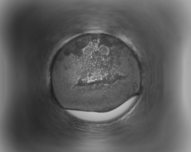 X0000088231167200705292128
