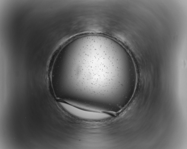 X0000088231168200705292128