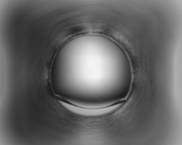 X0000088231169200705292128