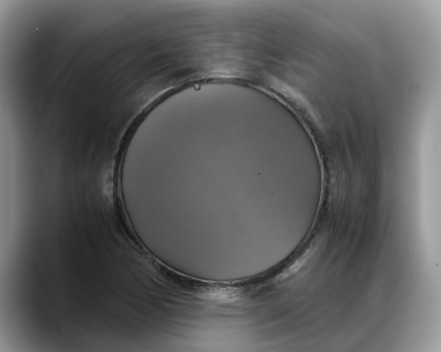 X0000088231170200705292128