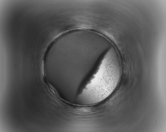 X0000088231171200705292128