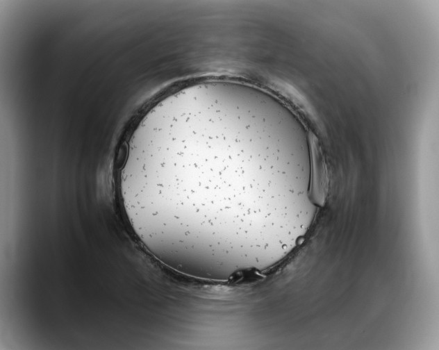 X0000088231172200705292128