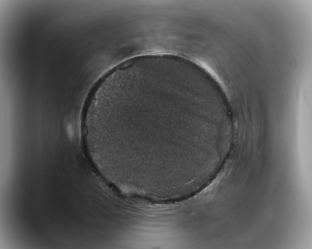 X0000088231173200705292128